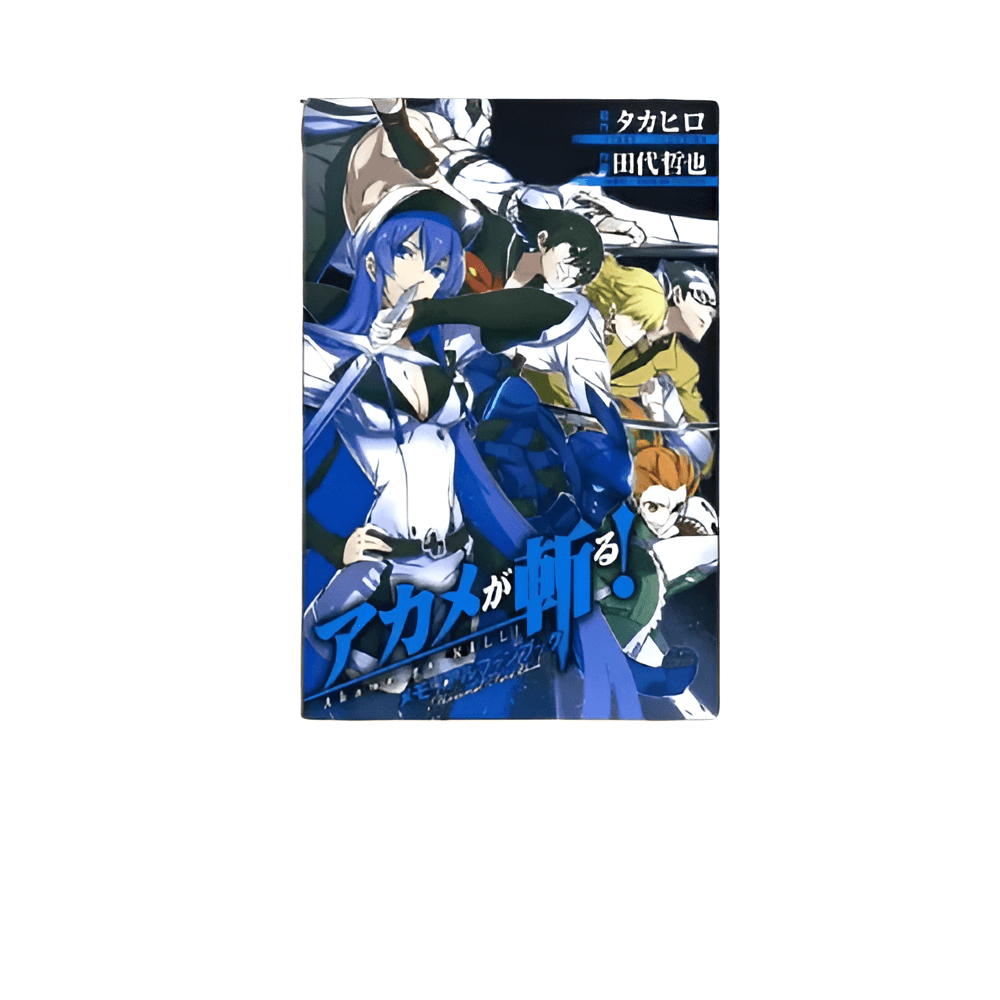 Anime Akame Ga Kill Characters Canvas Painting Poster