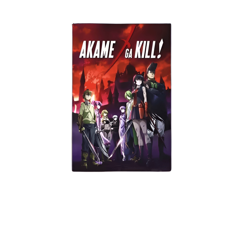 Akame Ga Kill Anime Characters Painting Poster